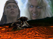 Callisto Velasca fight