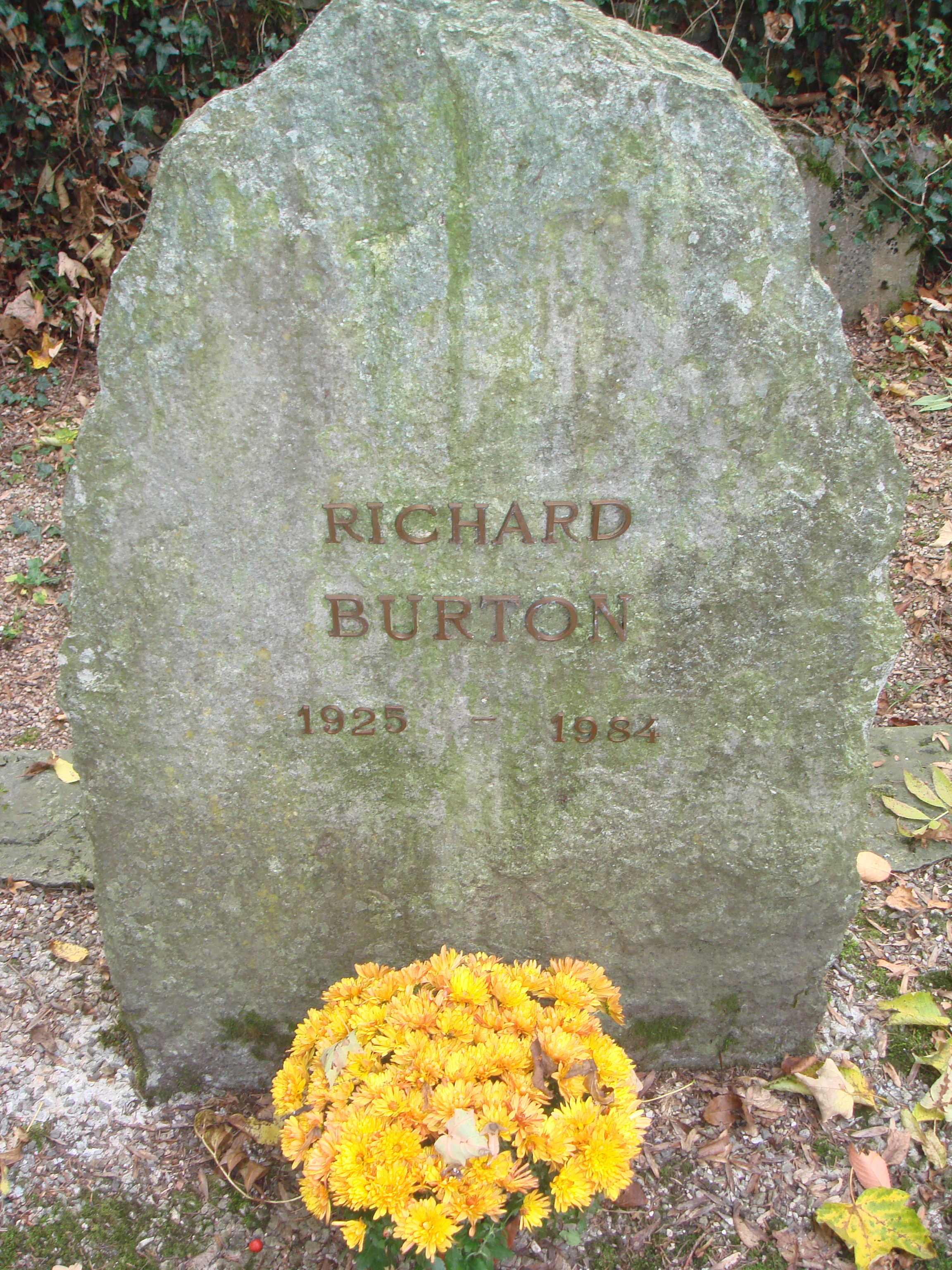 Richard Burton Cinema Wiki