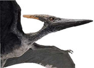 185px-Jurassic_Park_III_Alpha_Male_Pteranodon.webp