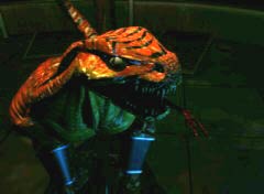 killer instinct wiki riptor