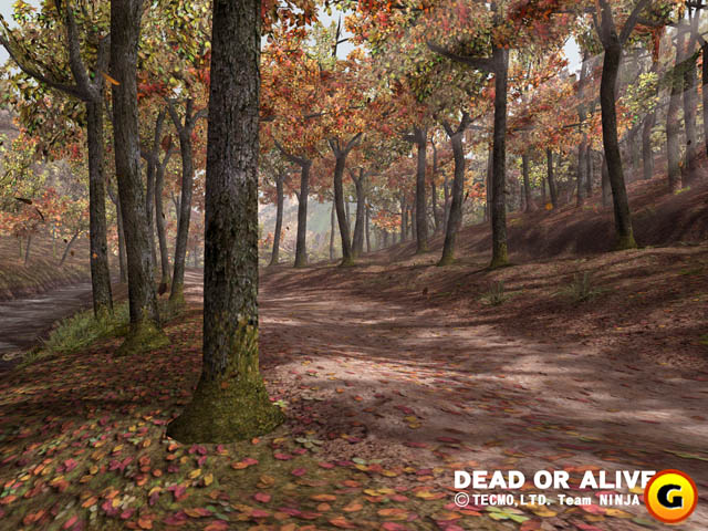 Deadoralive3_b2_790screen011.jpg