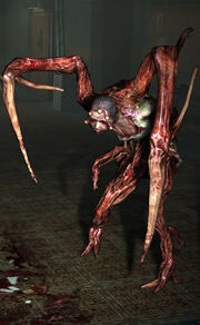 Spitter DS2