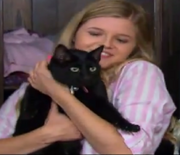 Amber holding cat