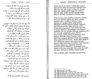 Seyfi baba 2