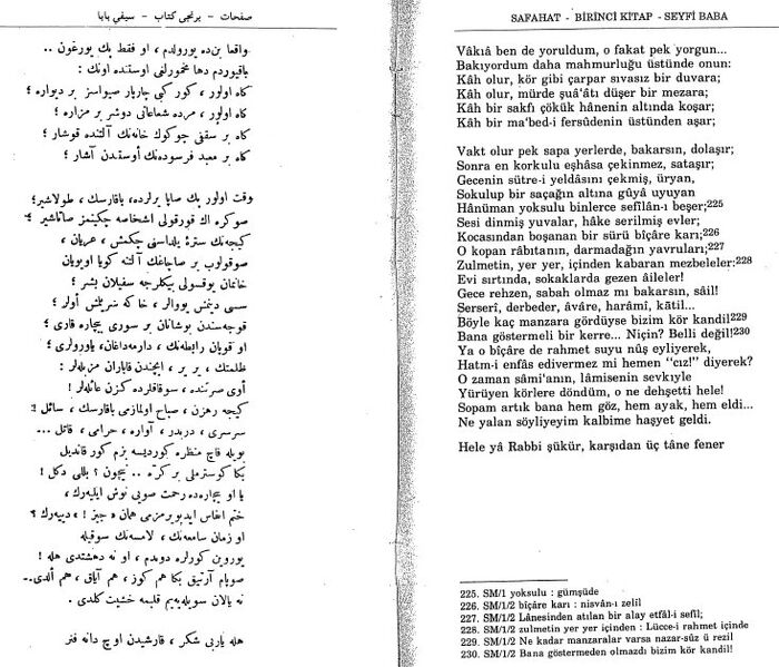 Seyfi baba 2