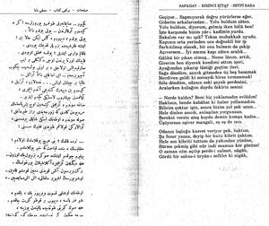 Seyfi baba 3