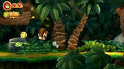 Jungla en DKCR
