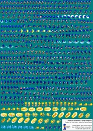 Sonic Sprite Sheet