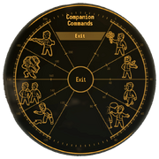 Companion wheel