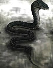 Harry Potter Basilisk