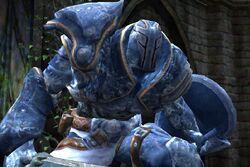 Frozen paladin