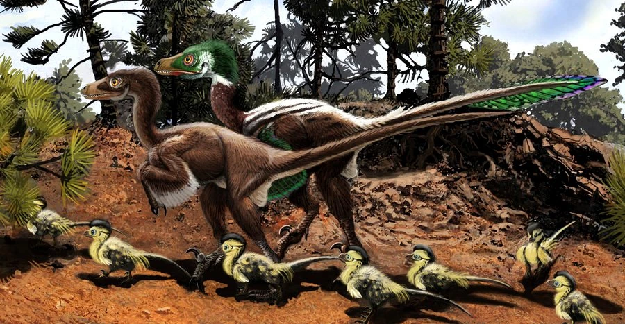 Image Dromaeosaurus.jpg Dinopedia the free dinosaur encyclopedia