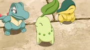P12 Iniciales de Johto