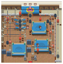 Veilstone Gym Pt