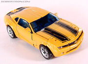 R premiumbumblebee019