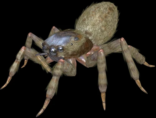 Spiders - The Earth Defense Force Wiki