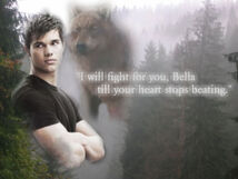 Jacob wallpaper for BellsCullen