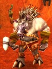 Quilboar