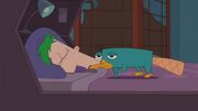 PerryonBed