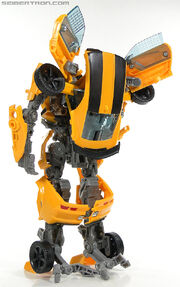 R leader-bumblebee-088