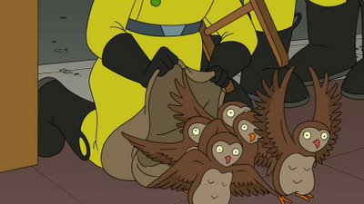 Owls.jpg