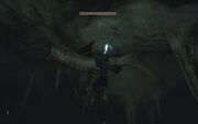 Giant Slaughterfish