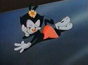 Dot warner