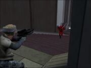 Royal Guard