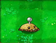 Potato-Mine