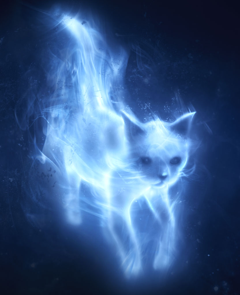 File Patronus Cat