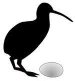 KiwiEggRatio