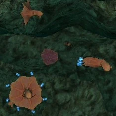 Vampire Squid - Endless Ocean Wiki