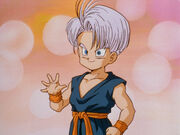 Trunks photo