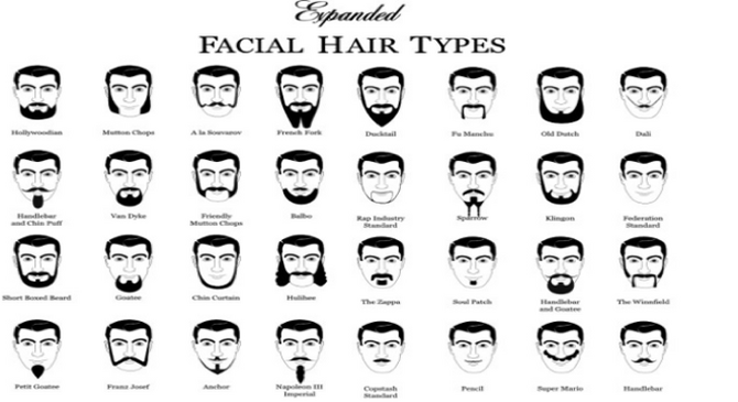 The Gallery For Gt Types Of Beards Names Beards Styles