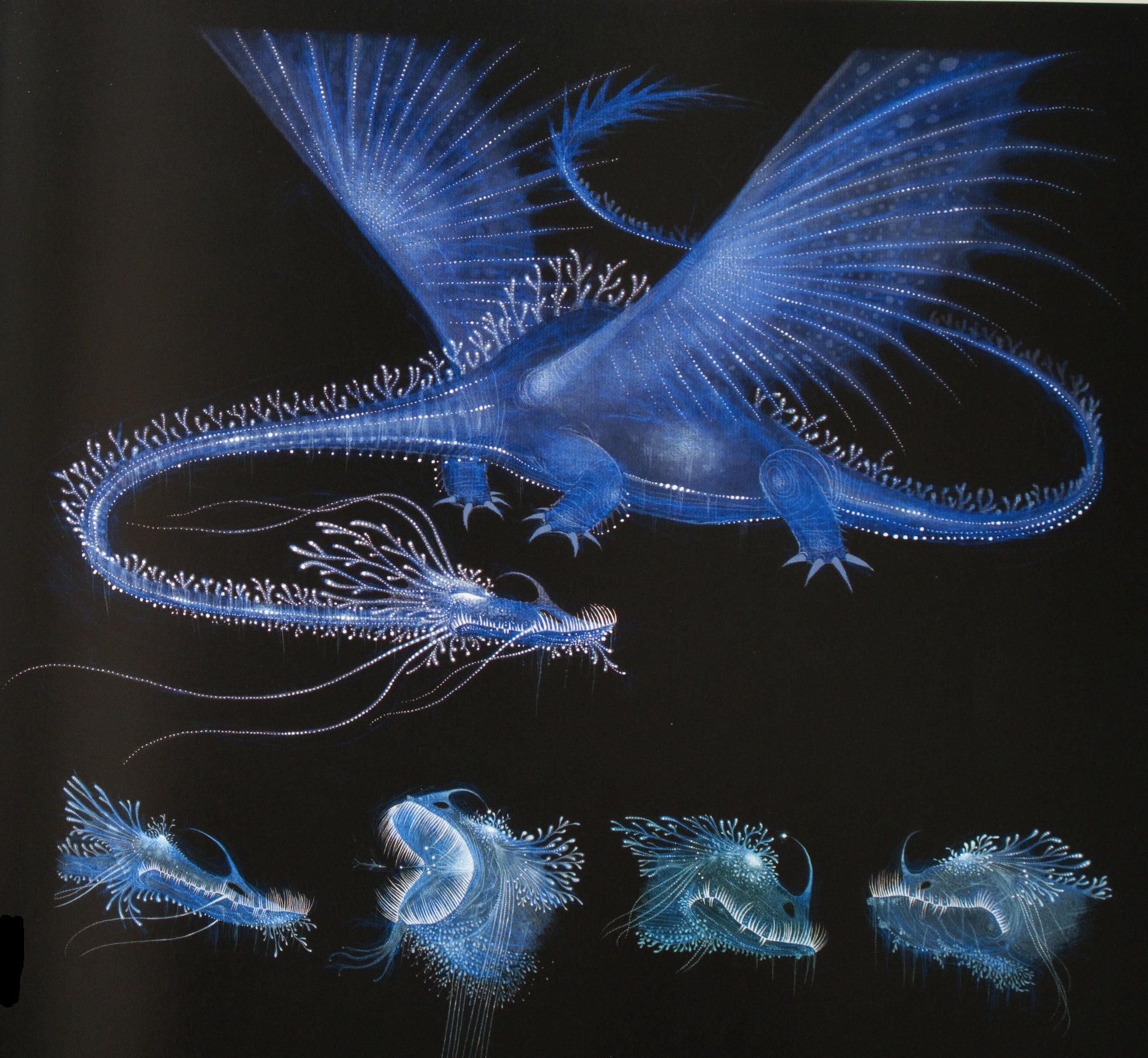 Image Red Death Concept1.jpg How to Train Your Dragon Wiki