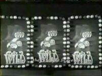 3jokers68