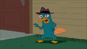 Perry imitando Candace