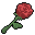 Red Rose