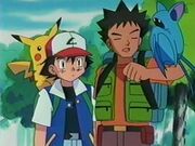EP122 Zubat en el brazo de Brock