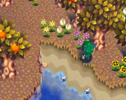 Seashellsn64