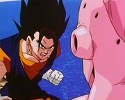 Buu against Vegito
