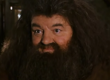 Hagrid_comforting_hermione.png