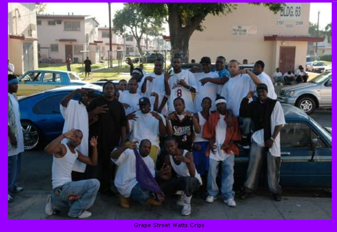 Grapestreetshotbu8-1-.png