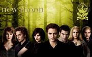 Edward cullens