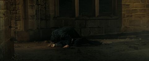 Greyback kills Lavender
