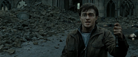 HarryElderWand