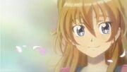Cherry Blossome Hibiki