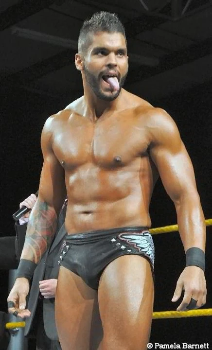 Alex Silva Pro Wrestling Wiki Divas, Knockouts, Results, Match