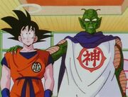 Goku&KamiOtherworld