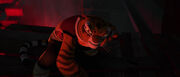 Tigress-factory